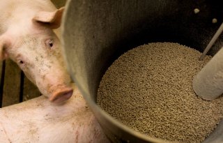 Boek+belicht+risico%27s+van+mycotoxinen+in+diervoeder+door+klimaatverandering