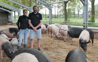 Uitblinker+in+regionale+circulaire+biovarkens+wint+Agroscoopbokaal