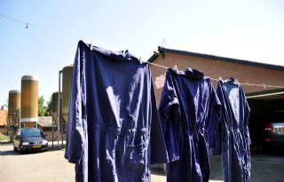 Praktijkopleiding+varkenshouderij+richt+zich+op+zijinstromers