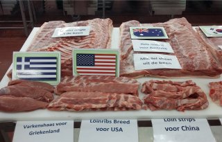 Grote+verschillen+in+ontwikkeling+varkensprijzen+tussen+continenten