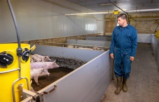Ruud+Timmerhuis%3A+%27Nu+zijn+de+darmen+structureel+gezond%27