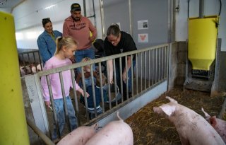 Wroetstal+in+Putten+heeft+veel+bekijks+tijdens+Weekend+van+het+Varken