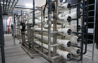 Bij+aanpak+mestoverschot+is+meer+nodig+dan+grondgebondenheid+melkvee