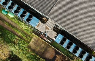 Veehouders+moeten+scherp+zijn+op+wijzigingen+in+geurbeleid
