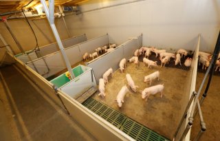 Methaan%2D+en+ammoniakuitstoot+dalen+fors+bij+dagontmesting+biggen+en+vleesvarkens