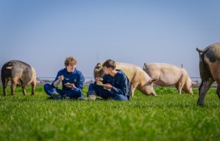 Familie+Van+den+Bogert+ontvangt+GefeliciStaart+voor+inzet+op+krulstaarten