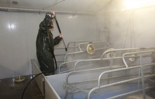 Cataloni%C3%AB+scherpt+gezondheidsstrategie+in+varkensketen+aan