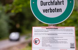 Bijna+15%2E000+uitbraken+van+Afrikaanse+varkenspest+in+anderhalf+jaar+tijd