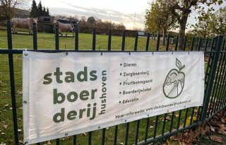 Op+verzoek+kijken+bij+varkensstal+met+Zweedse+dagontmesting