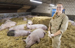 Marina+Meester%3A+%27Openheid+nodig+bij+aanpak+PRRS%27