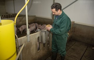 Brabantse+varkenshouder+bezorgd+over+vele+Woo%2Dverzoeken