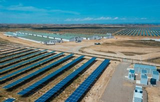 Doemscenario+dreigt+in+Spanje+door+Afrikaanse+varkenspest