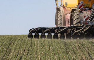 TESTBERICHT+Varkens%2Enl+website