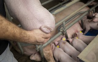 Op+naar+een+gezonde%2C+concurrerende+en+maatschappelijk+gewaardeerde+sector