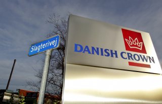 Winst Danish Crown onder druk door overschot op Europese varkensmarkt