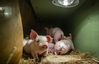 Barth%2DMisset+Fonds+financiert+zeven+nieuwe+projecten