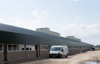 Inkijkje+bij+varkensbedrijf+van+de+toekomst