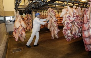 VleesNL overweegt juridische stappen tegen uitzendverbod in vleessector