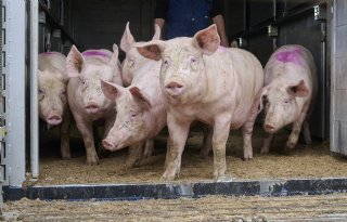 Vertrouwen+in+elkaar+leidt+tot+langdurige+relaties
