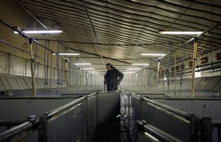MS+Schippers+breidt+uit+met+vestiging+in+Polen