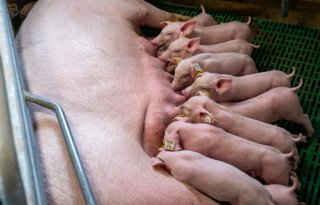 POV%3A+PBL+stuurt+onterecht+naar+generieke+korting+rechten