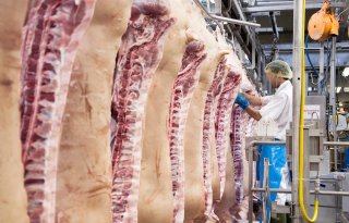 Varkensvleesconsumptie+daalt+naar+28%2C3+kilo+na+correctie+slachtcijfers