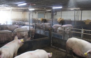 Investeren+in+dierwaardig+omgevingsklimaat+extra+interessant