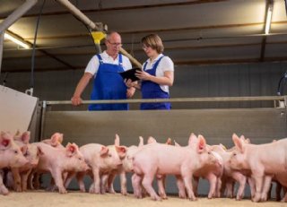 Wat zijn de gevolgen en economische verliezen van slingerziekte?