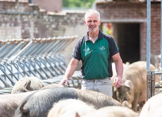 Varkenshouder Van de Ven: 'Dieren doen het op biovoer hartstikke goed'