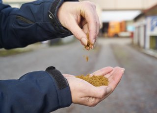 Dierlijk eiwit: slimme keuze voor varkensvoer