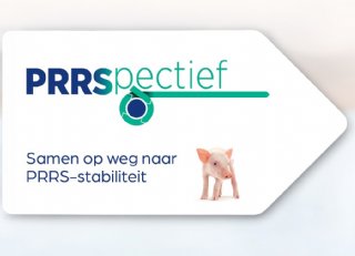 PRRSpectief: samen werken aan stabiele resultaten