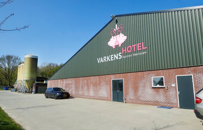 Het Varkenshotel herbergt gezonde vleesvarkens.
