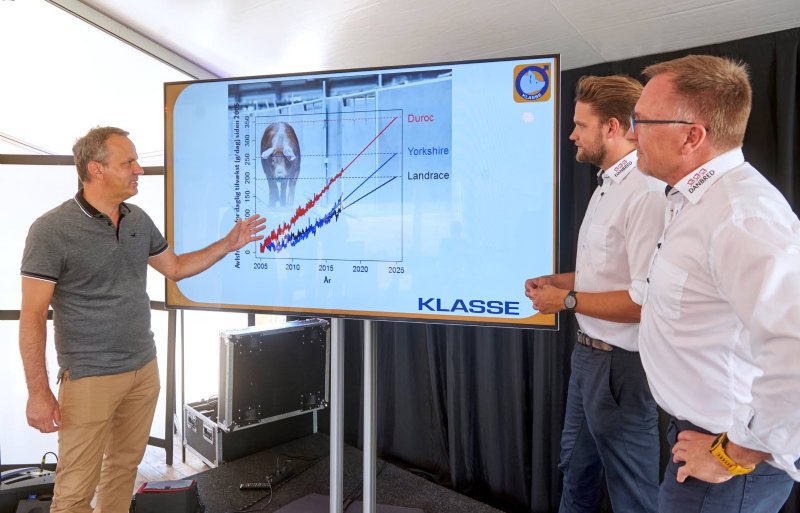 Peter Mathiasen en Peter Thomsen van DanBred laten zien dat de stijging van de groei per dag zowel voortkomt uit zowel de DanBred zeugenlijnen als de Duroc eindbeer.