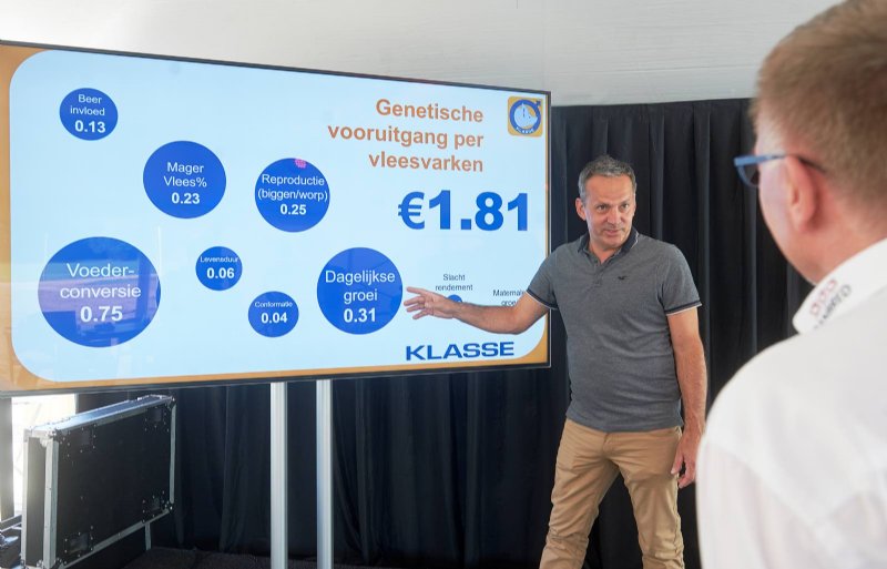 Jaarlijks boekt DanBred door de verbetering van de onder andere de biggenproductie, voerconversie en  groei een genetische vooruitgang van 1,81 euro per vleesvarken.