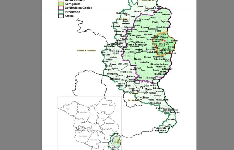 Kern-, risico- en bufferzone Afrikaanse varkenspest Brandenburg