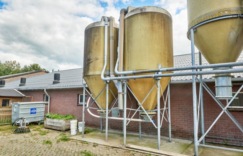 De zeugen krijgen voor werpen prelacto (vanuit de middelste silo). Na werpen schakelt Kuijpers probleemloos direct door naar de hoog geconcentreerde lacto fase 2.