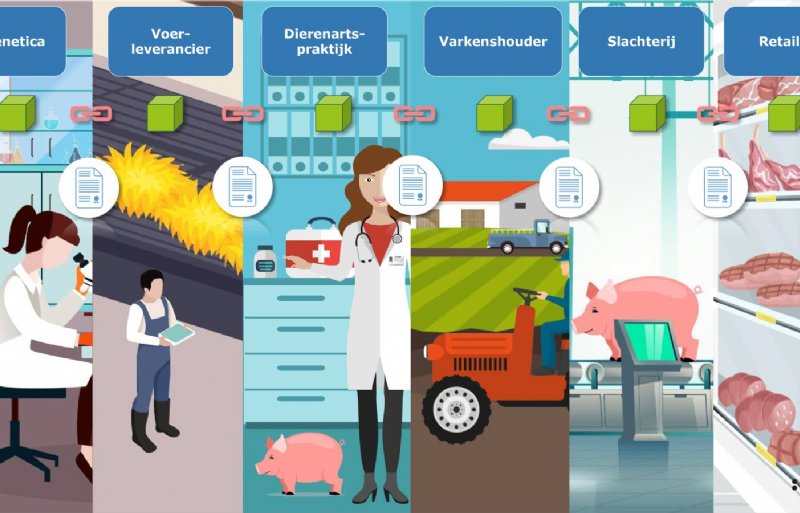 Blockchain bij productie van varkensvlees.