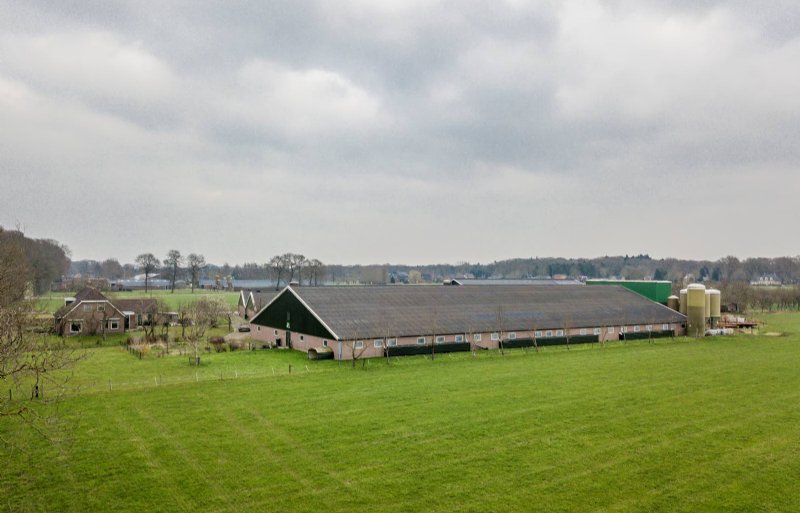 Vooraan op de foto de tien jaar jonge vleesvarkensstal. Daarachter de zeugen- en biggenstallen.