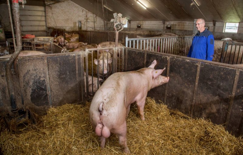 De zoekbeer heeft zijn eigen plekje.