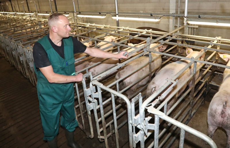 Bedrijfsleider Andres Pouwels opent het hekje voor de zoekbeer.