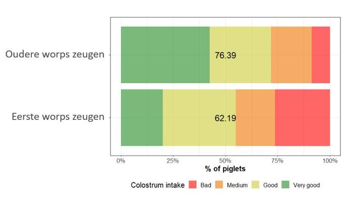 Figuur 3. Biestscore van biggen van eerste en oudere worps zeugen. De biestscore ligt tussen 25 en 100. Hoe hoger de score., hoe beter.