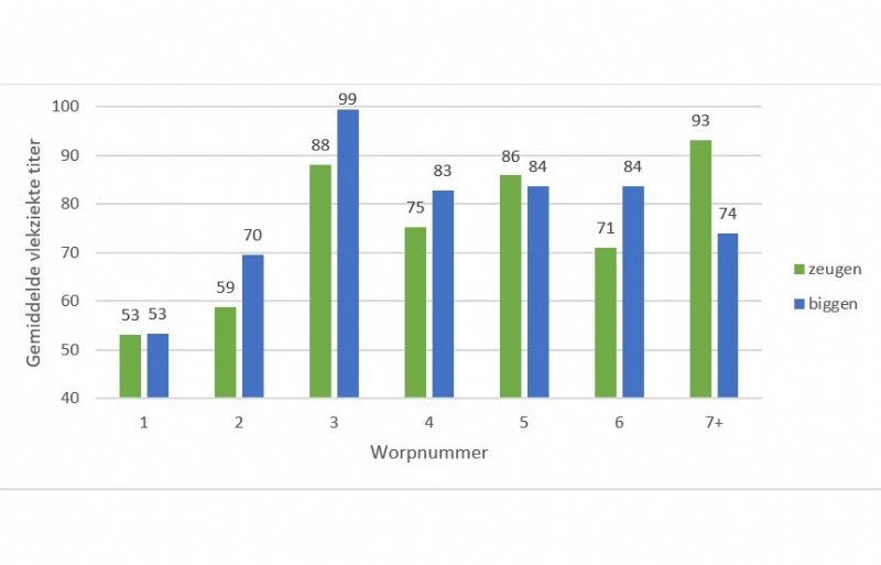 Figuur 2. Gemiddelde vlekziekte titer bij zeugen en biggen per worpnummer. Bloedmonsters werden onderzocht met CIVTEST® SUIS SE/MR, een titer >40 wordt als positief. beschouwd.