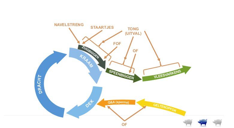 nieuwe monitoringsmethodes PRRS