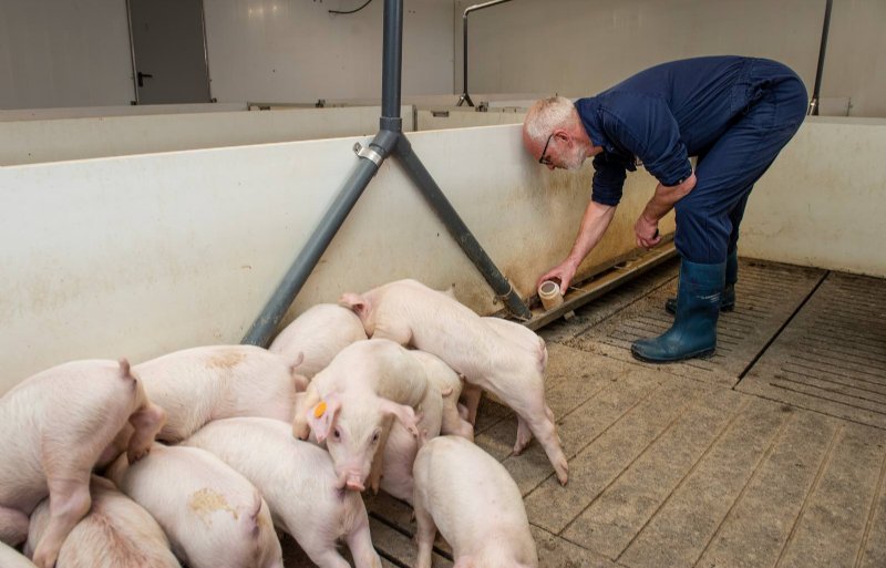 Jos Roelen neemt ter controle regelmatig een brijvoermonster.
