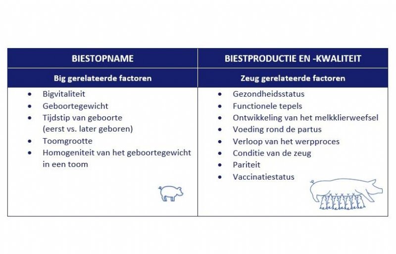 Factoren die bepalend zijn voor de bescherming van biggen door afweerstoffen uit de biest.