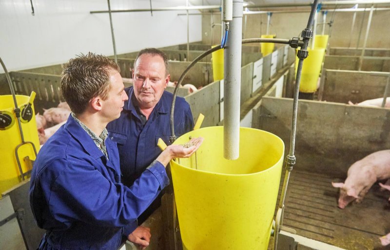 Varkensspecialist Tom Jilesen van ABZ De Samenwerking en vleesvarkenshouder Jaap van Ham (rechts)