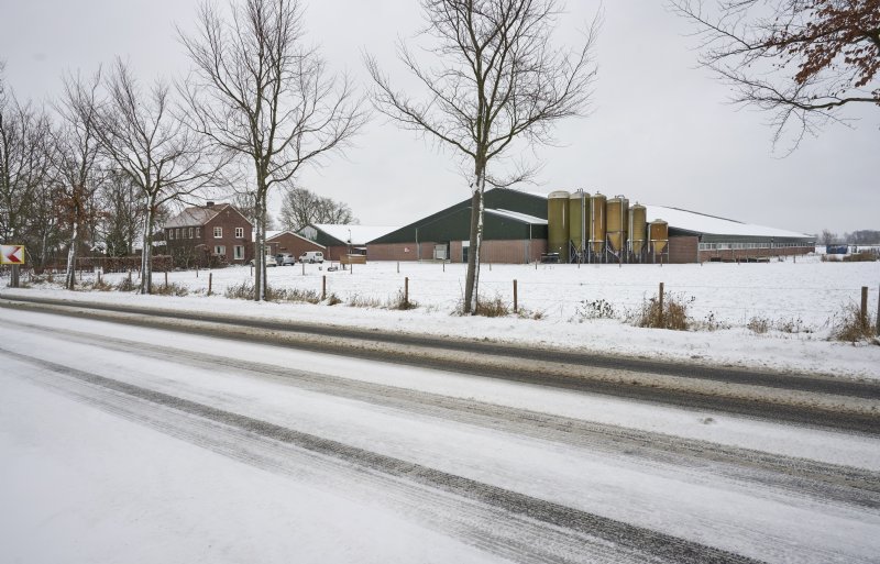 Het vermeerderingsbedrijf van maatschap Van Bommel-Munsters is gevestigd in het Brabantse Liessel.