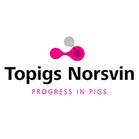 Topigs Norsvin