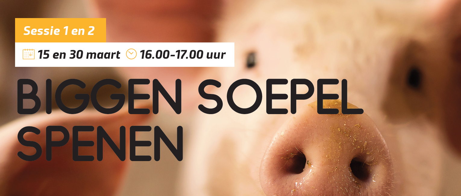 Webinars Soepel spenen van biggen