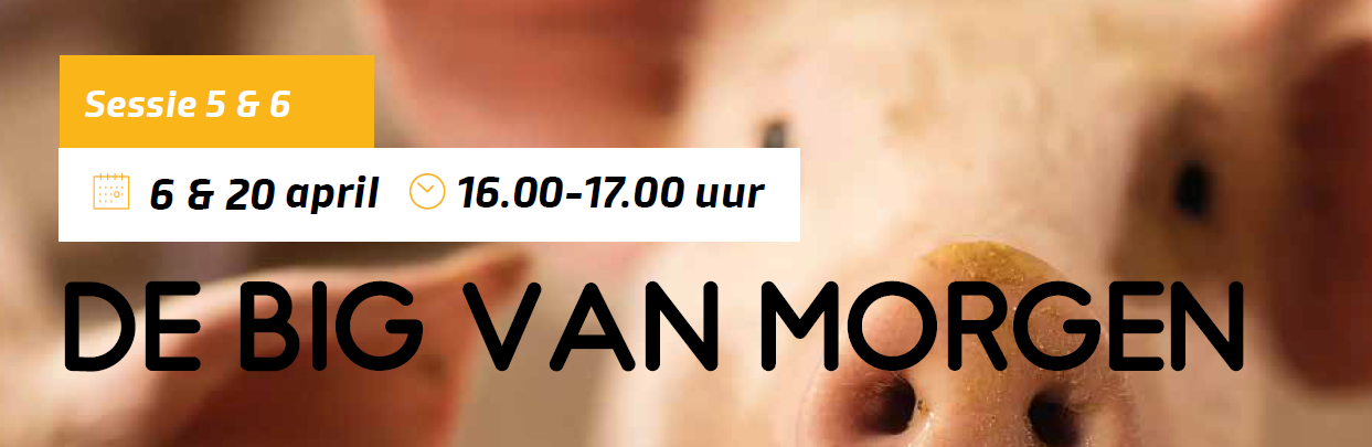 Webinar De big van morgen